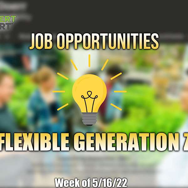 Flexible Generation Z