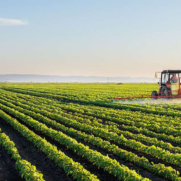 Food and Agribusiness Merger Ban