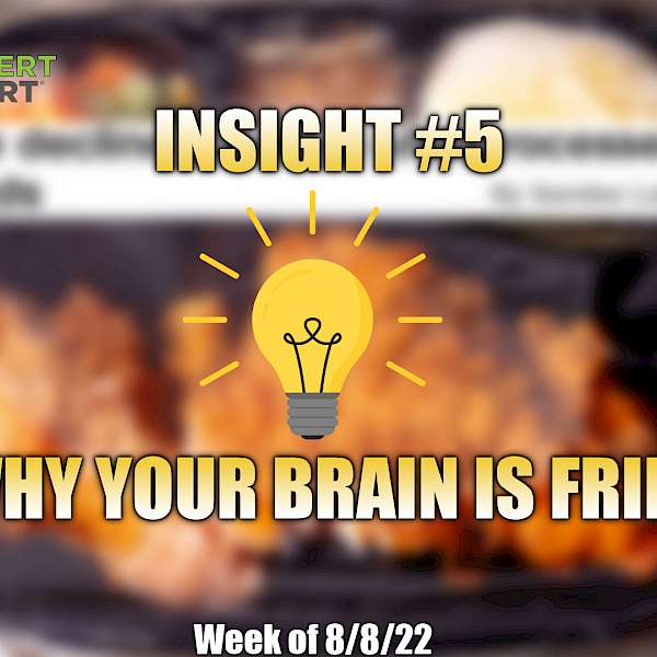 Why Your Brain Is Fried