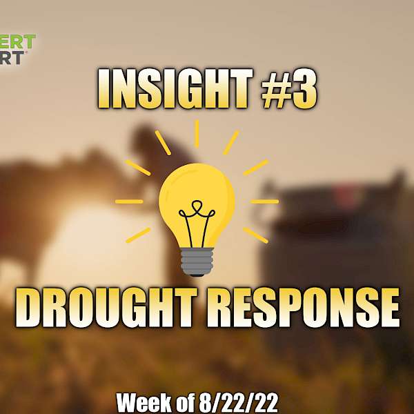 Drought Response