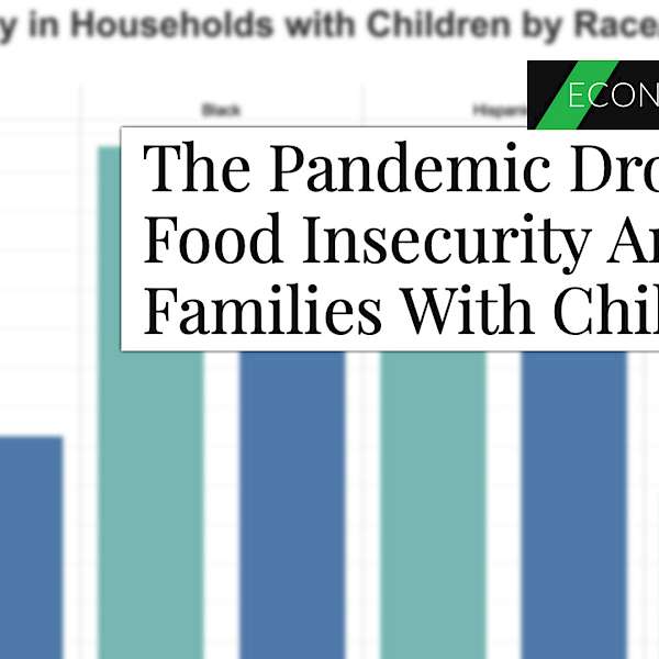 Pandemic Food Insecurity