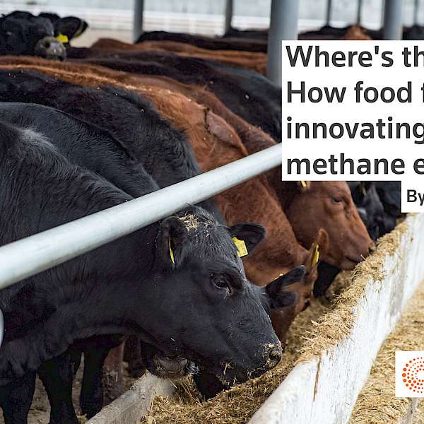 Where's The Beef?