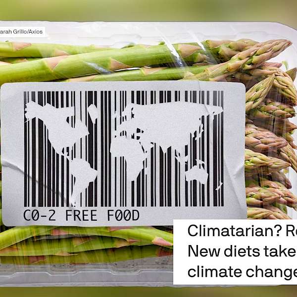 Sustainability Trends