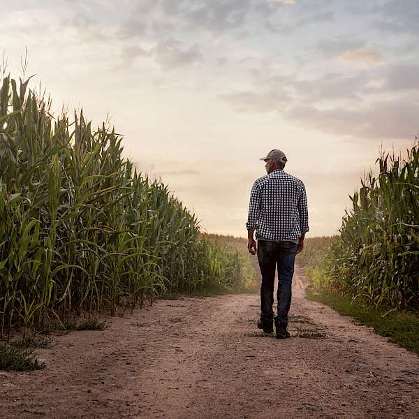 Congressional Farmers Discuss High Food Prices