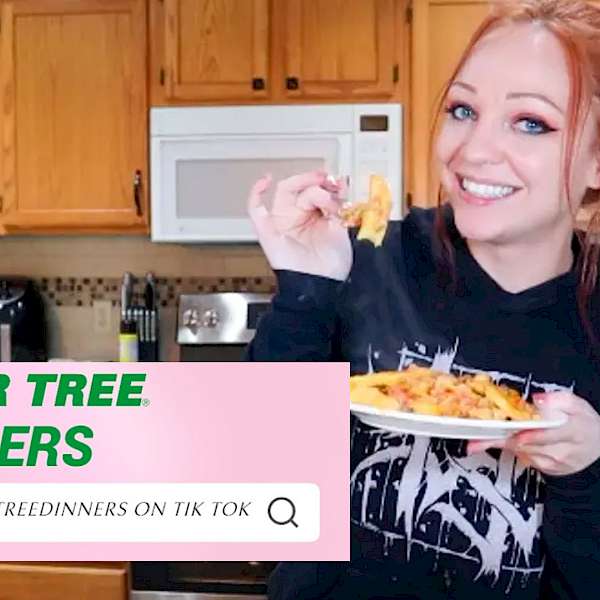 Dollar Tree Tips