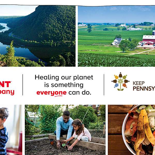 Giant Food Waste