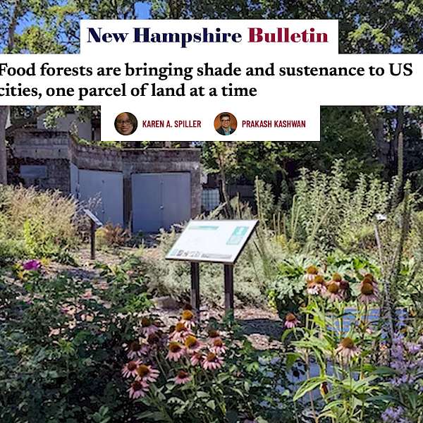 Food Forests