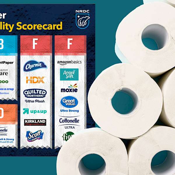 Toilet Paper Report Card