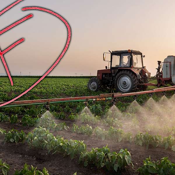 An 'F' for Food Manufacturers