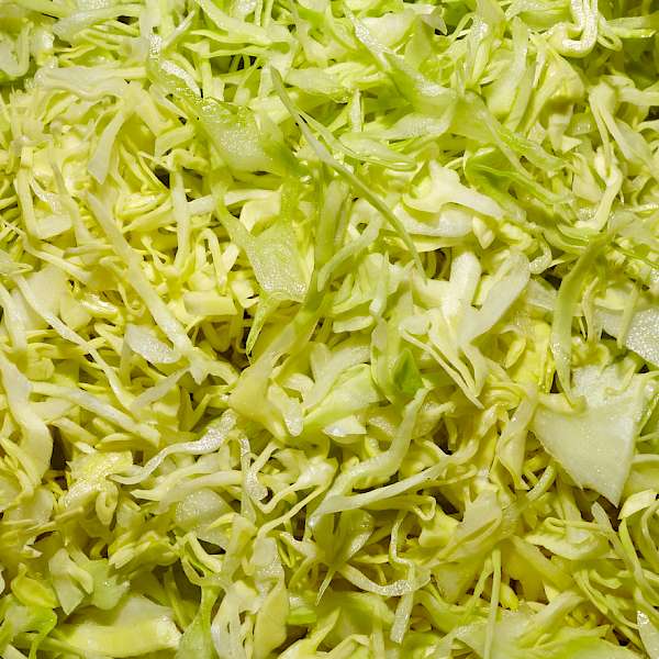 THE ROBIN REPORT The Hidden Threat of the Cyclospora Outbreak