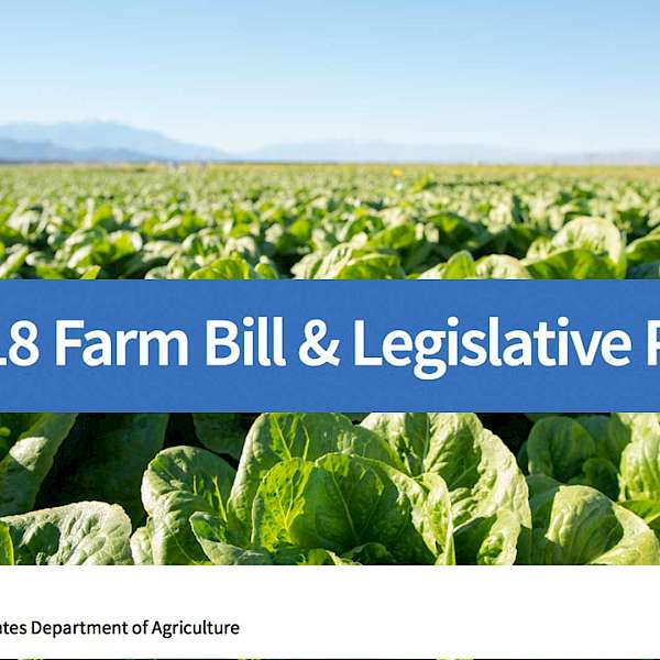 Will The Next Farm Bill Be A Disaster?