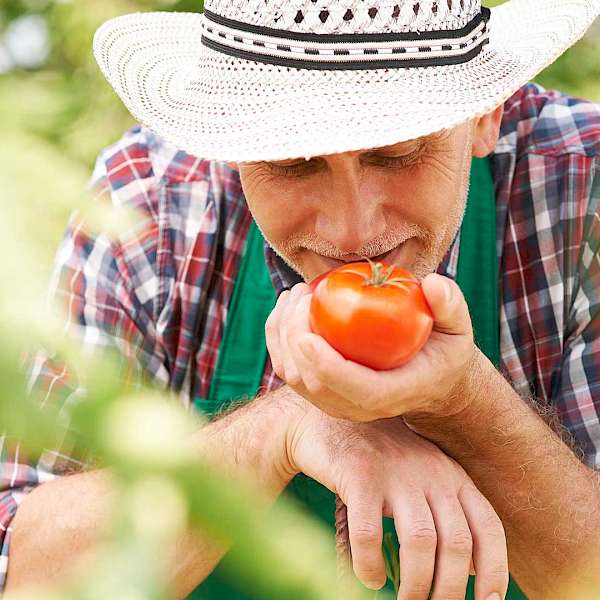 New York Farmers Get A Tax Break