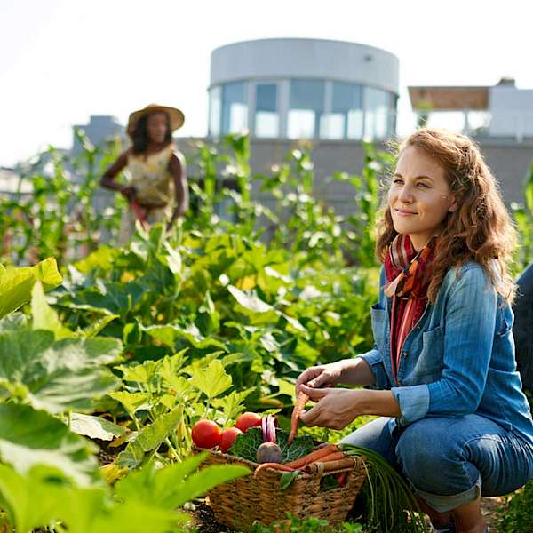The Female Farmer Project