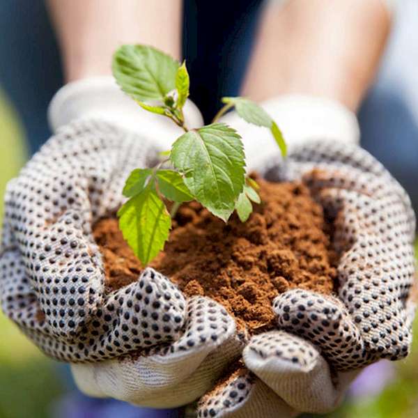 What The US Should Learn From The UK On Sustainability