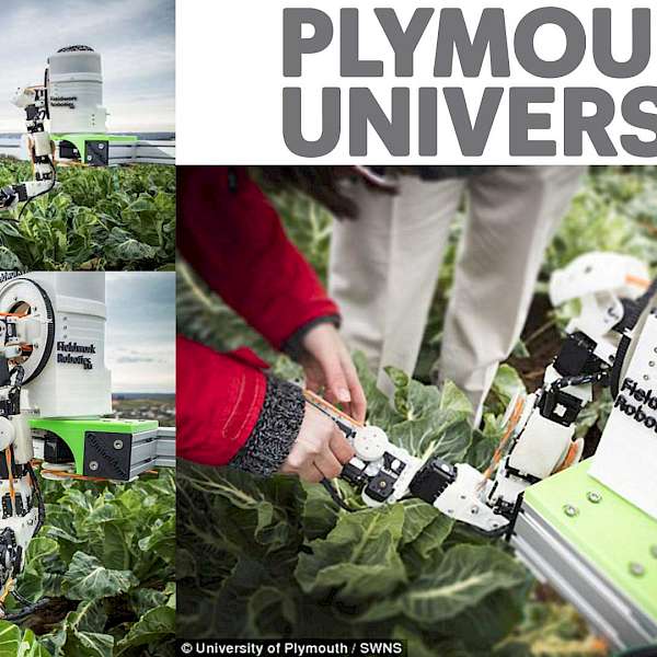 There Is No Labor Shortage On This Farm