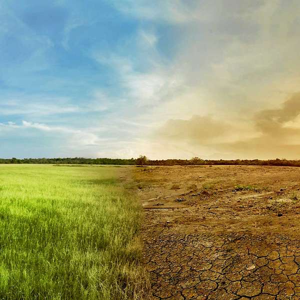 Why Are We Still Arguing About Climate Change?