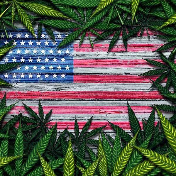 It’s True, Cannabis Is A Lot More Than A Fad