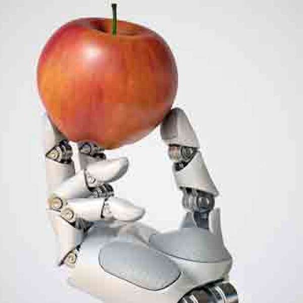 How Soon May Robotic Kitchens Migrate to Grocerants?