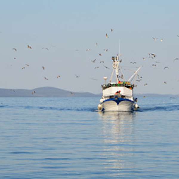 Climate Change Is Threatening Our Seafood Supply